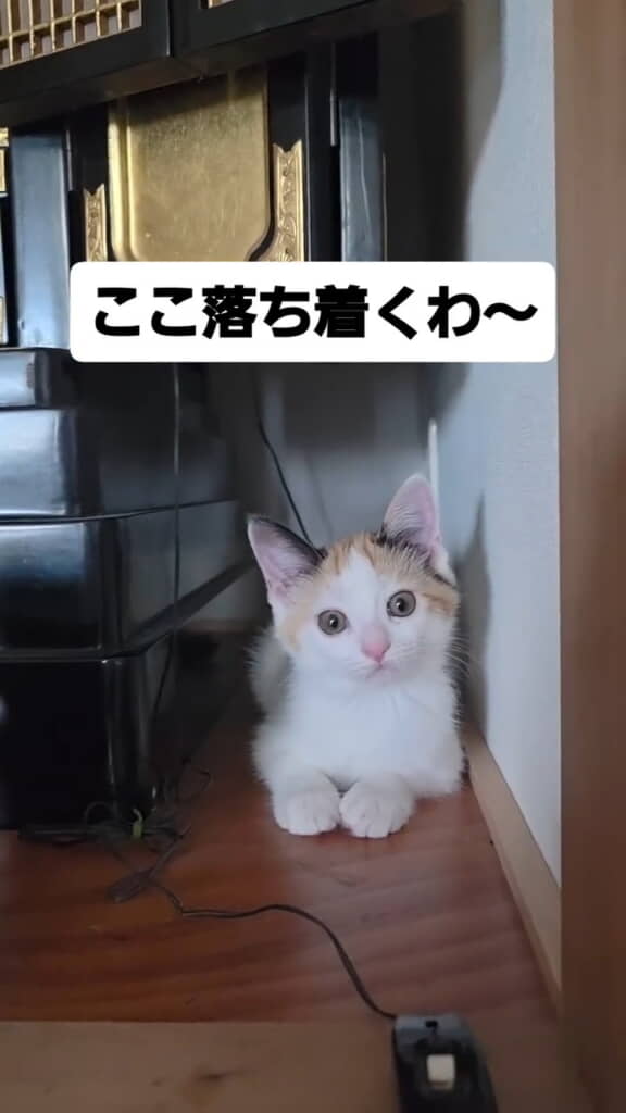 落ち着くね