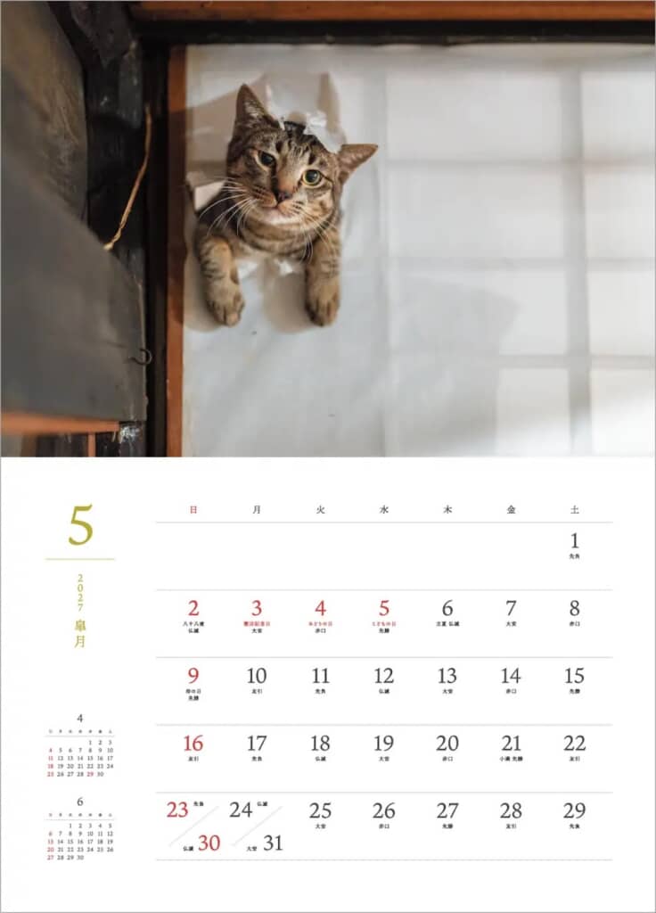 障子の穴から、こんにちは