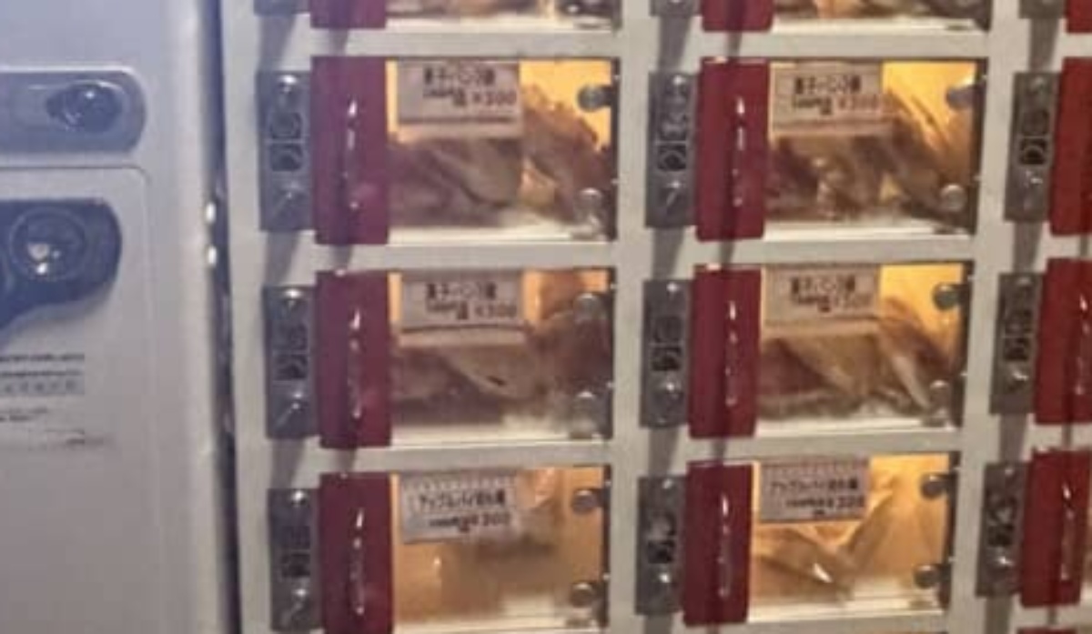 千葉で自販機に“300円”を投入→出てきたのは……　まさかの中身に「こんなに入ってるの初めてみた」「コレはうらやましい」（1/3） | ライフスタイル ねとらぼ