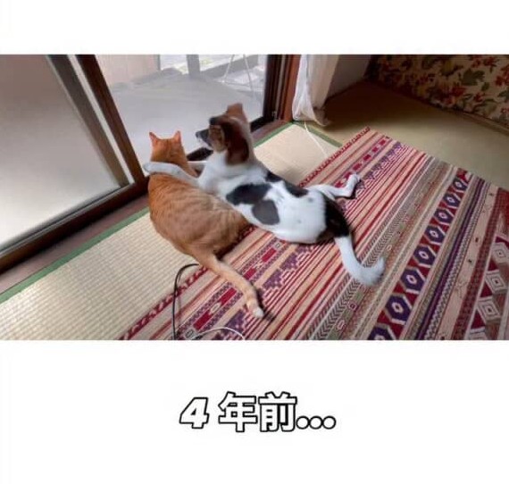 ターくんの肩に腕をまわすアグちゃん