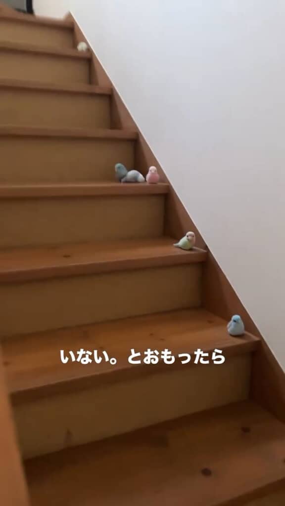 どれもリアル