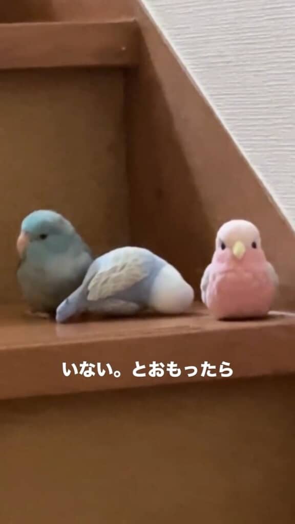 なかなか気づけいくらい溶け込んでいる