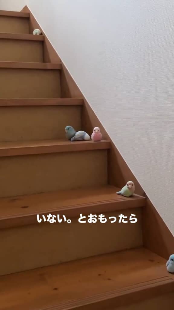 倒れてしまっている物も