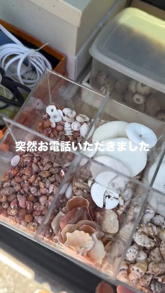 大量の材料を譲り受ける