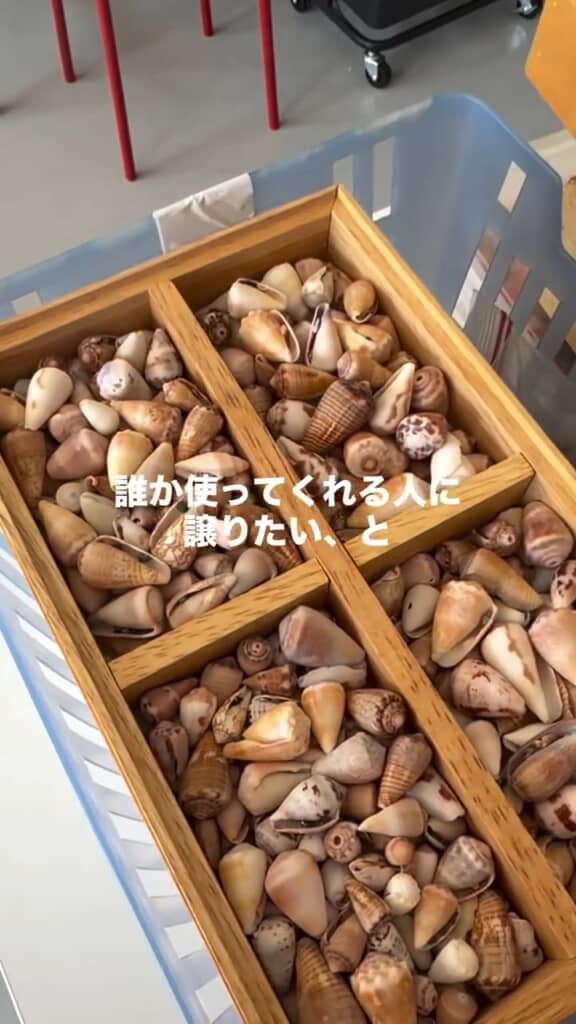 丁寧に種類分けされている