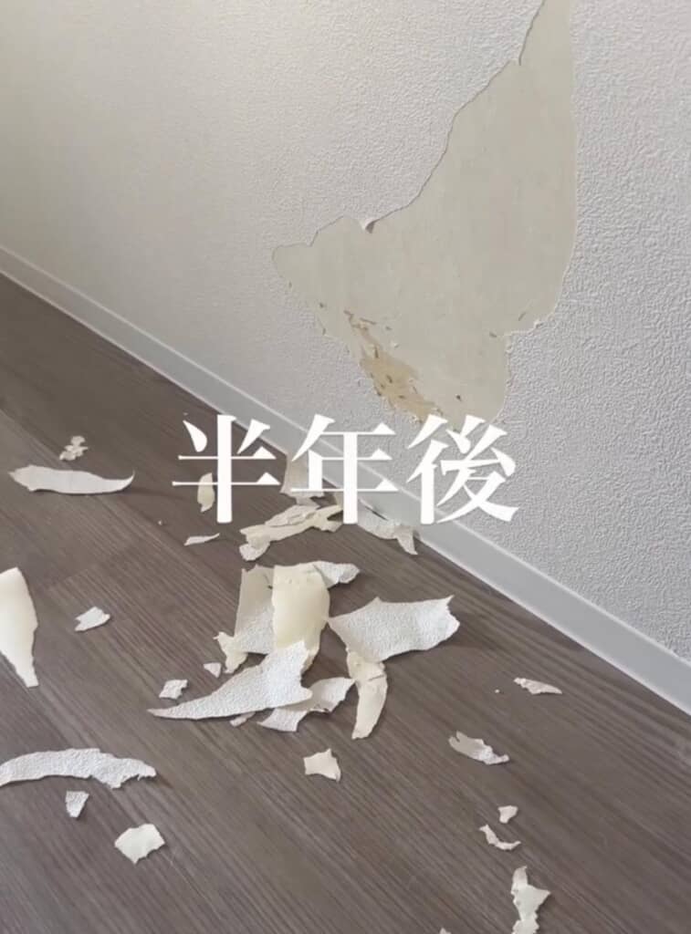 半年後……