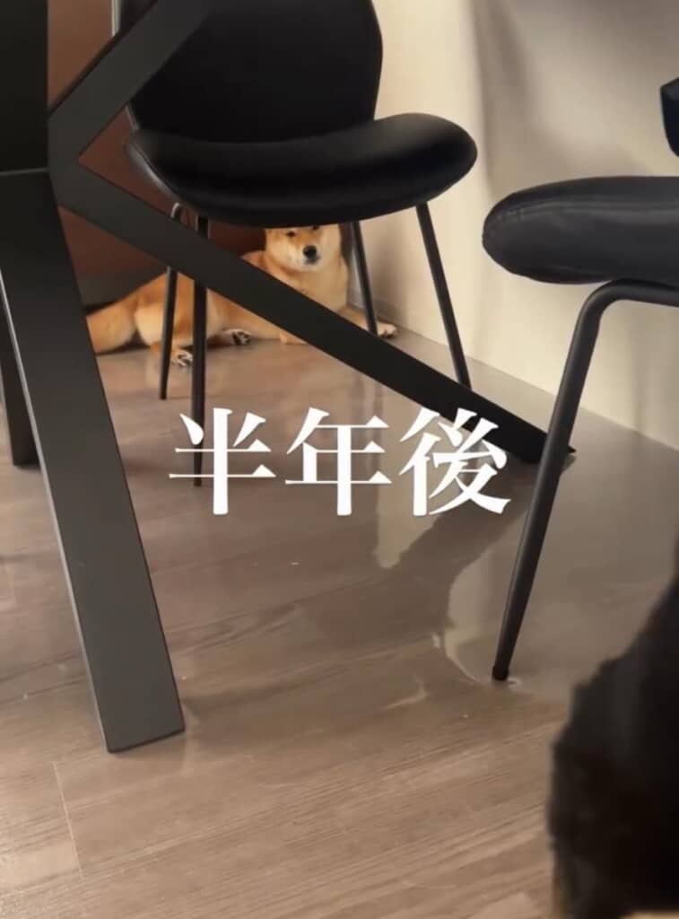 イタズラ中、現行犯で見つかってしまい