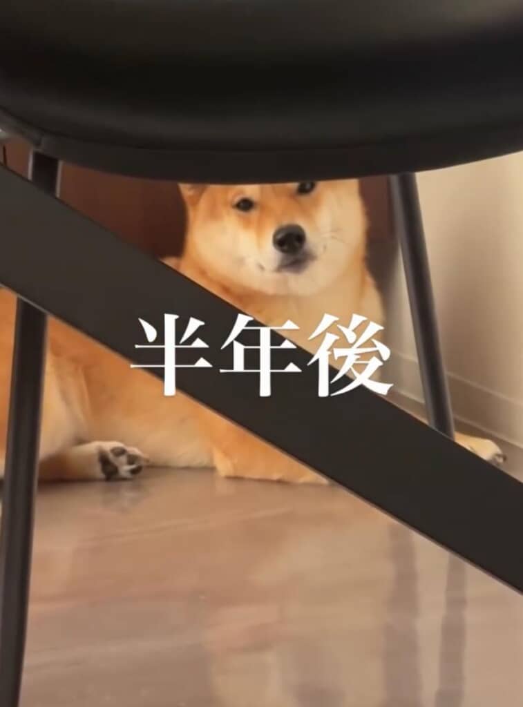 反省してるかな……？
