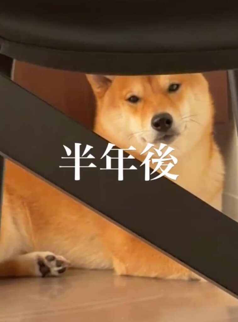 まさかのドヤ顔!?
