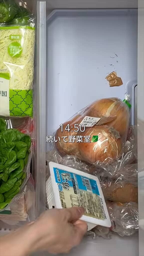 家事代行のプロによる冷蔵庫の整理整頓