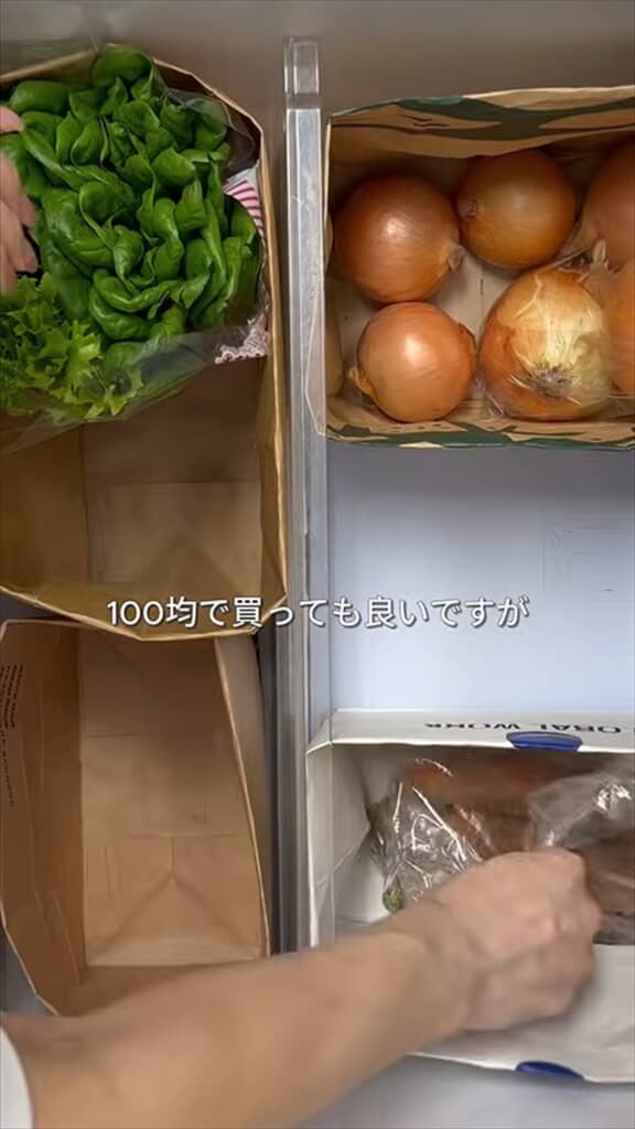 家事代行のプロによる冷蔵庫の整理整頓