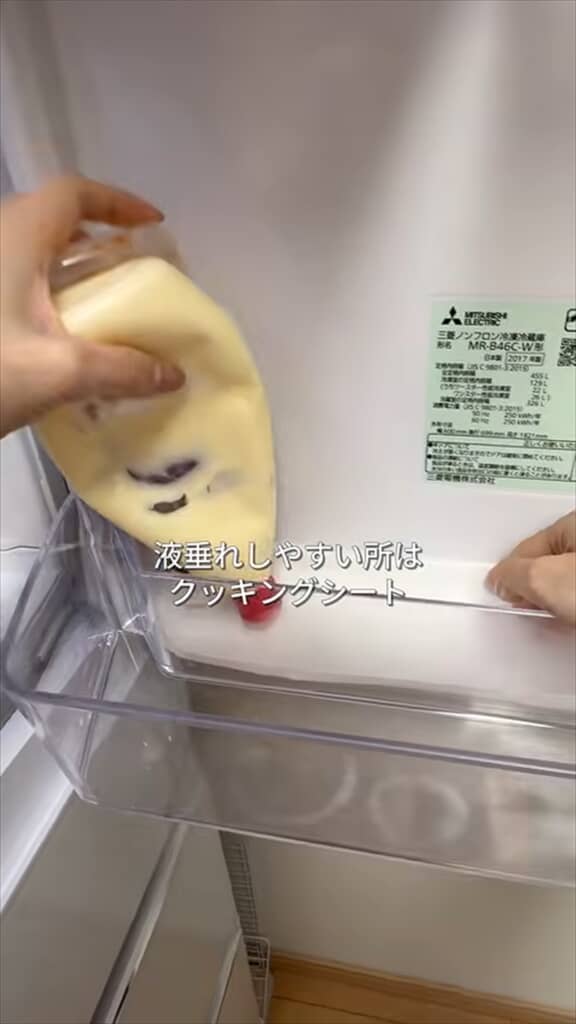 家事代行のプロによる冷蔵庫の整理整頓