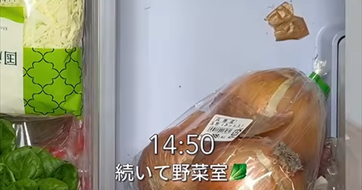 “スタバの紙袋”は捨てないで！→パタパタ折っていくと……　家事代行のプロが教える活用術に「すごい」「早速真似します！」（1/2） | ライフハック ねとらぼ