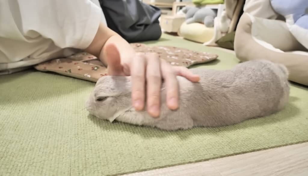 最後は眠くなっちゃいました
