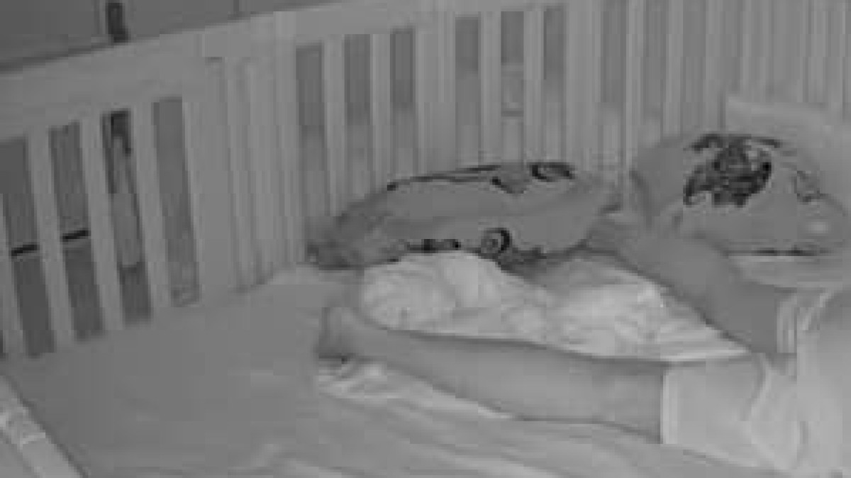 深夜2時50分、寝室の見守りカメラが捉えたのは……　背筋が凍る光景に「目が合ったら終わり」「現場に居たら絶望」（1/3） | 育児 ねとらぼ