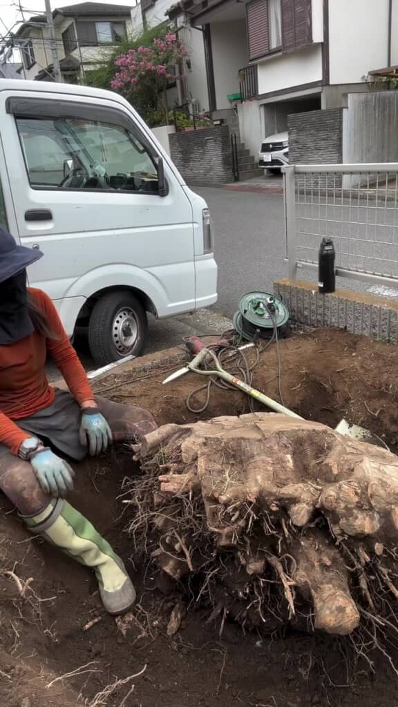 無事に取り出せました!