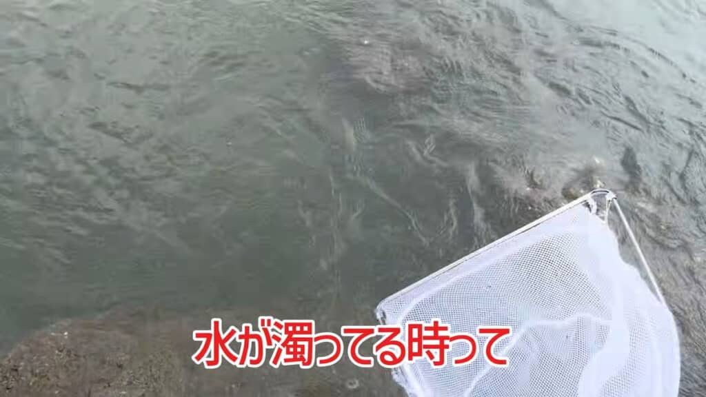季節来遊魚を求めて濁った海を探索