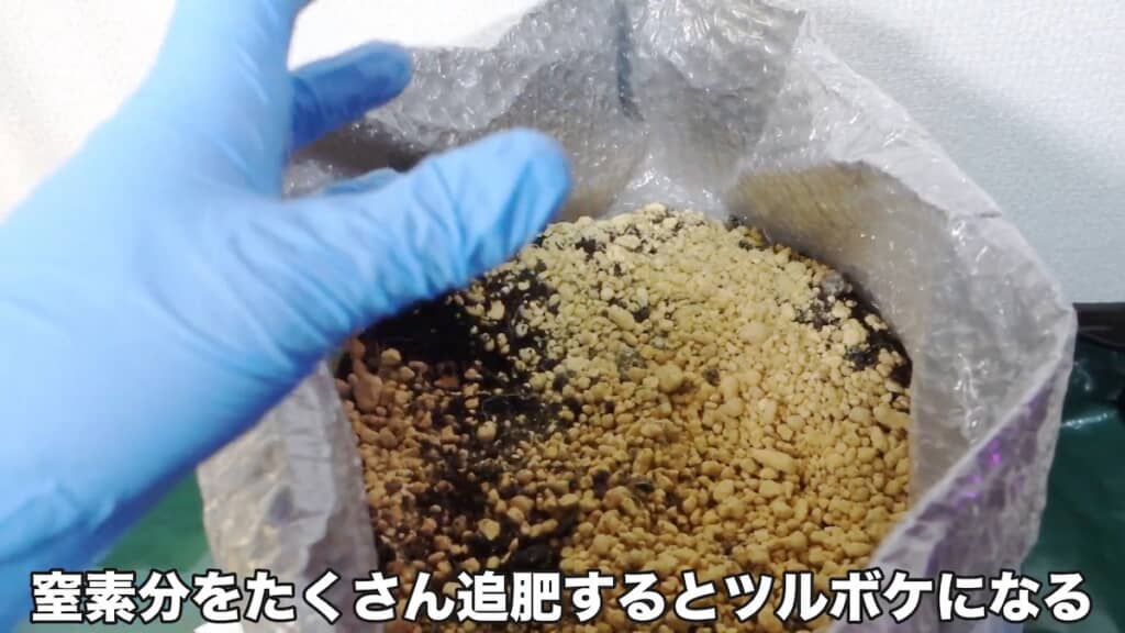 窒素のあげすぎには注意