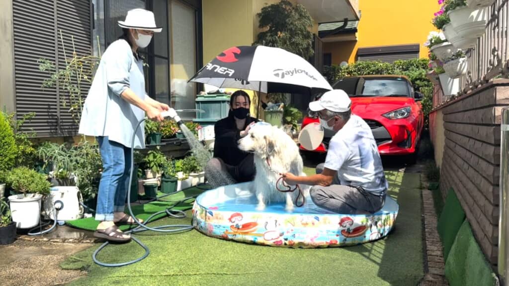 まさかの“女王様”状態に