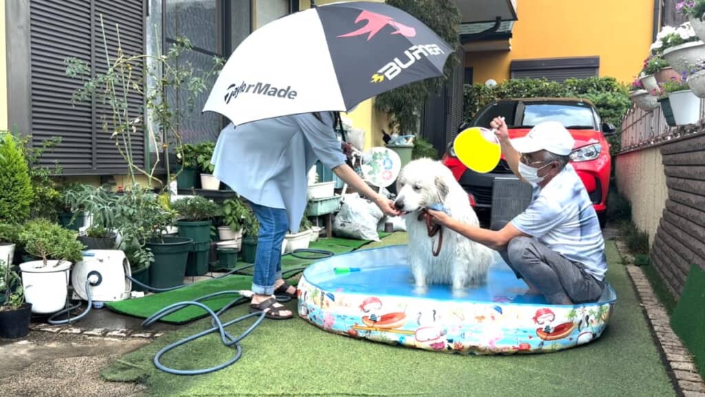 おやつももらい至れり尽くせり
