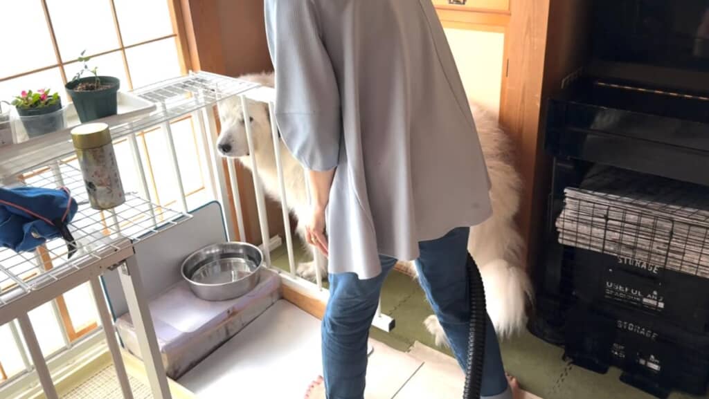 苦手なドライヤーも頑張り……