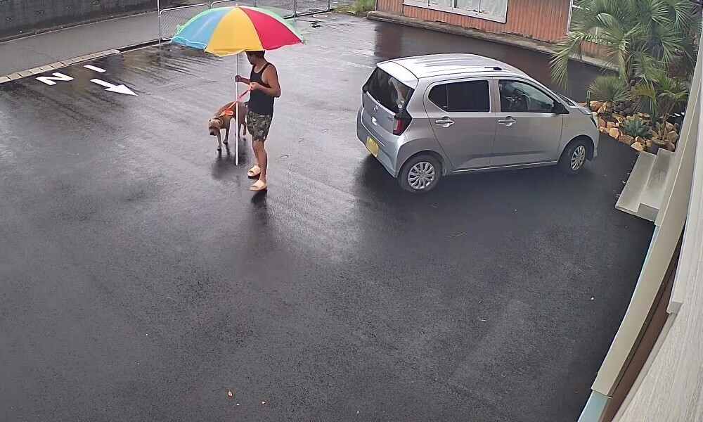 自宅の駐車場で散歩する夫と愛犬・千代の富士くん