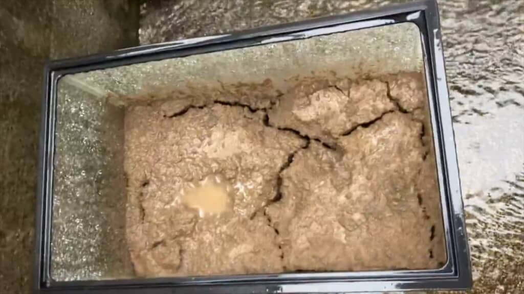水が溜まりはじめます