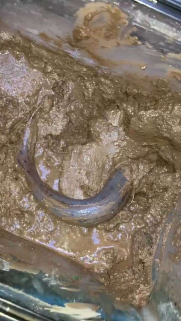 なんだこの生き物は!