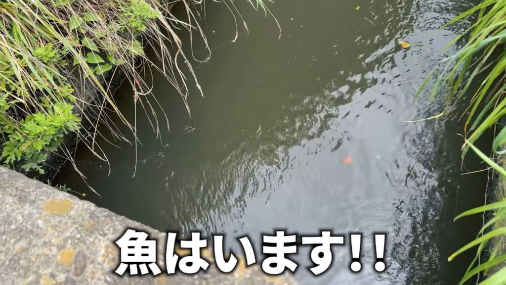 地元の用水路