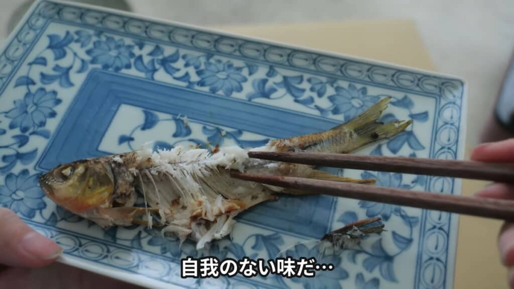 非常に淡泊な味で個性がないカワムツ