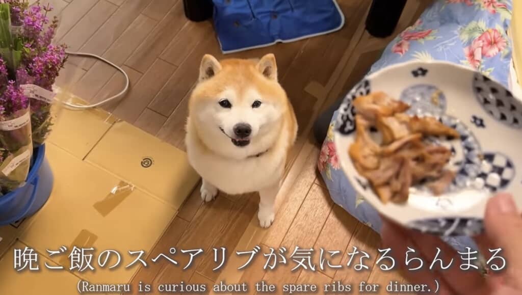 晩ごはんのお裾分けにワクワク