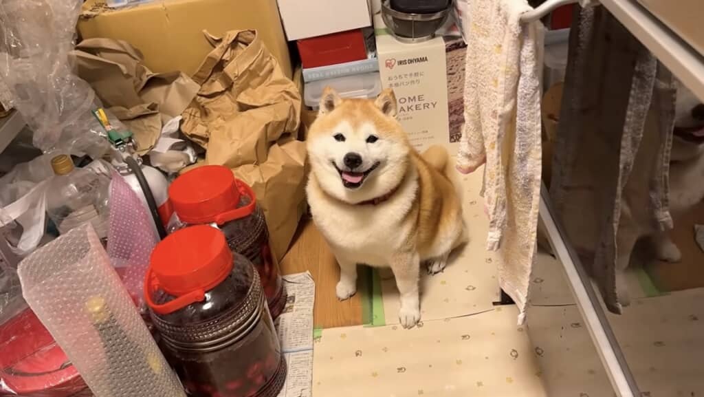 なんていい笑顔なんだ