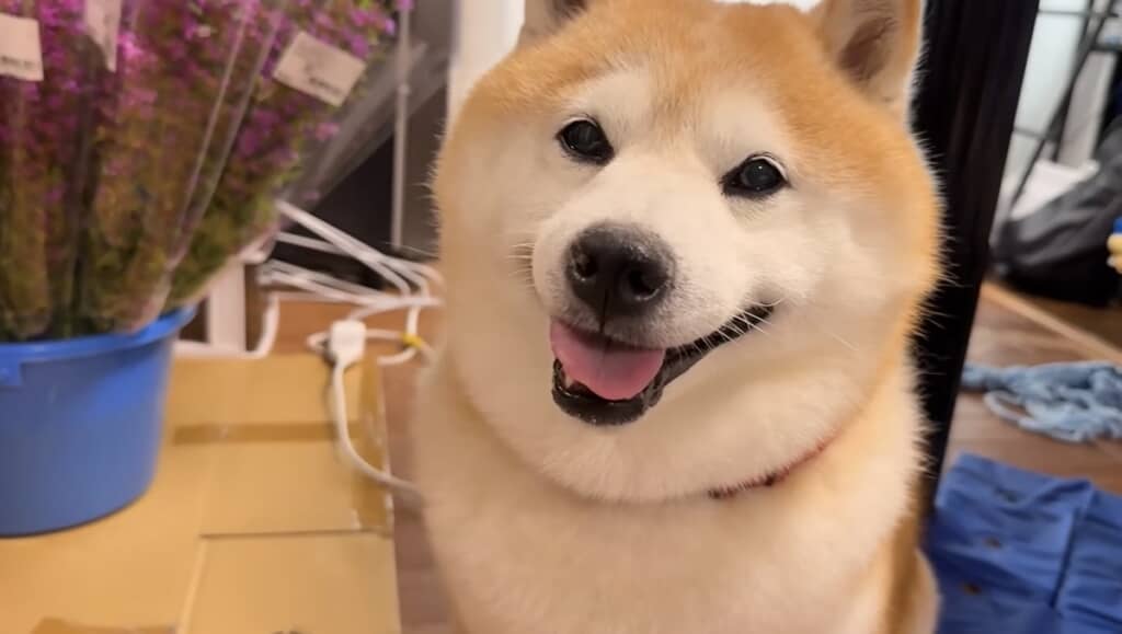 待望のおかわりにご満悦