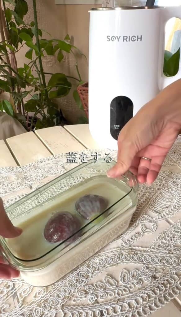 蓋をして置いておきます