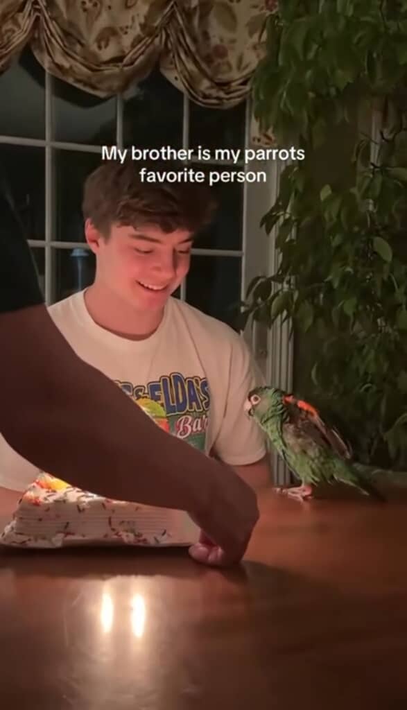 大好きな人の誕生日を一緒にお祝い（？）するセオ
