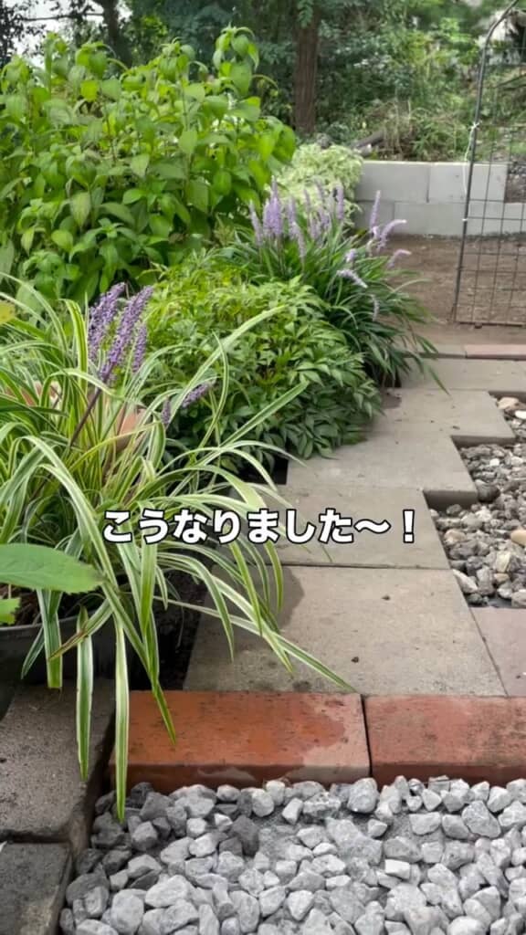ヤブランの咲く、おしゃれな小道もできあがりました