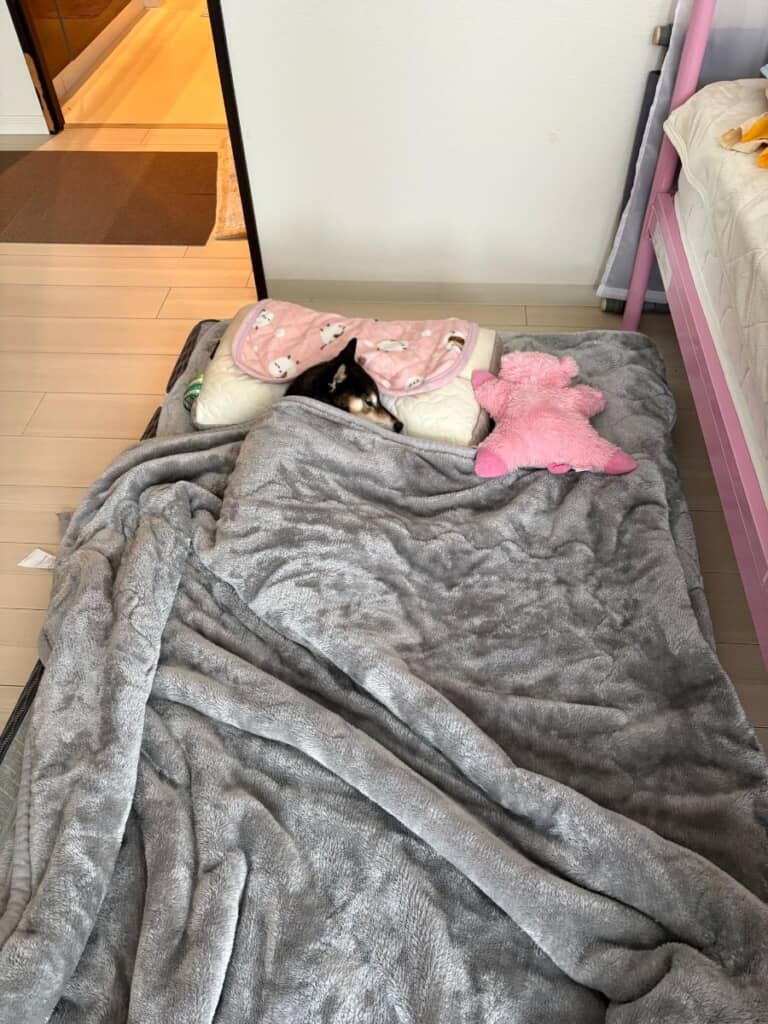健康の秘訣は睡眠!?