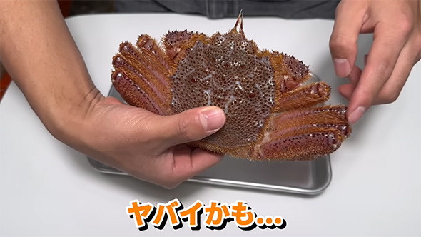 瀕死の状態です