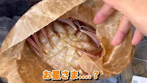 お星さまになってしまったのでしょうか
