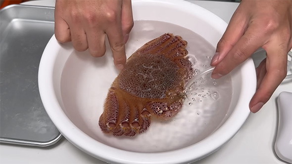 取りあえず海水に入れることに