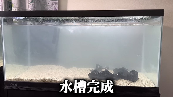 ケガニ用の水槽を作って