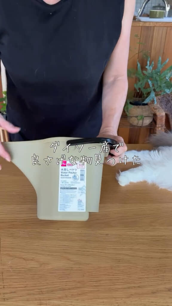 ダイソーで見つけた「水差しバケツ」