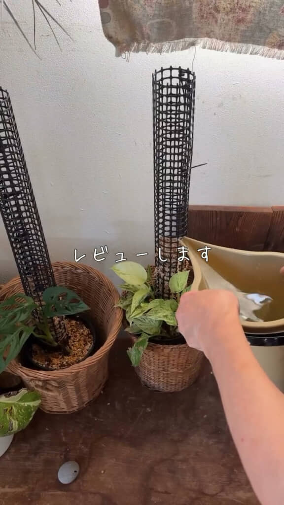バケツなのにピンポイントに水やりOK