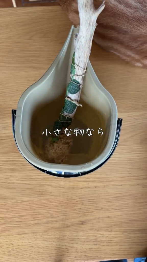 小さなものは丸ごとドボンも
