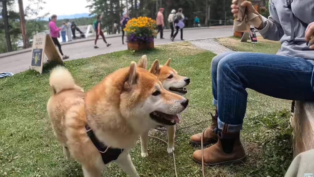 みんなで休憩