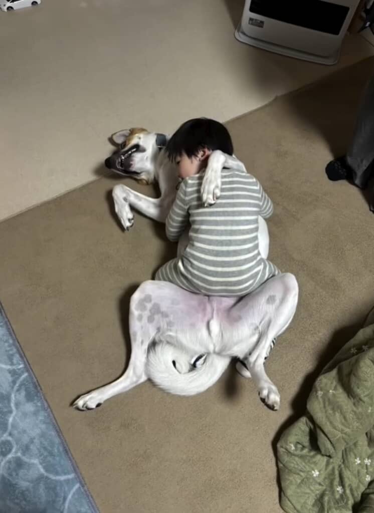 ラブラブです