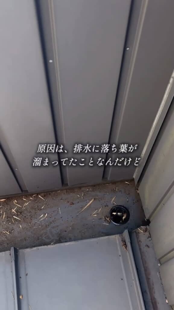 原因は排水口の落ち葉
