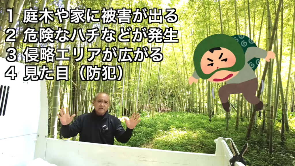 4つの理由から、ツル植物を放置してはいけません
