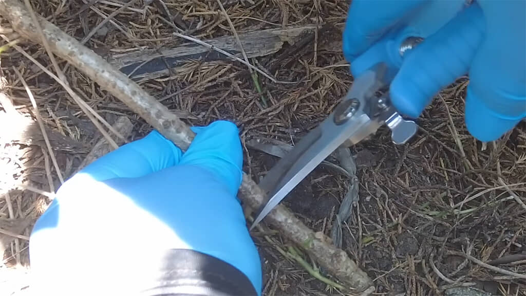 生えている所の根元布巾を切り
