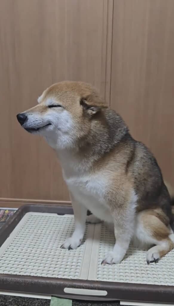 うれしくてこの表情!